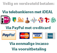 Veilig en versleuteld betalen met iDEAL en PayPal